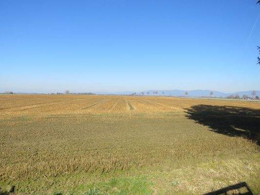 Blick von der Grundstücksgrenze 