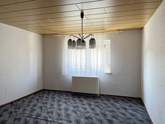 ZIMMER DG