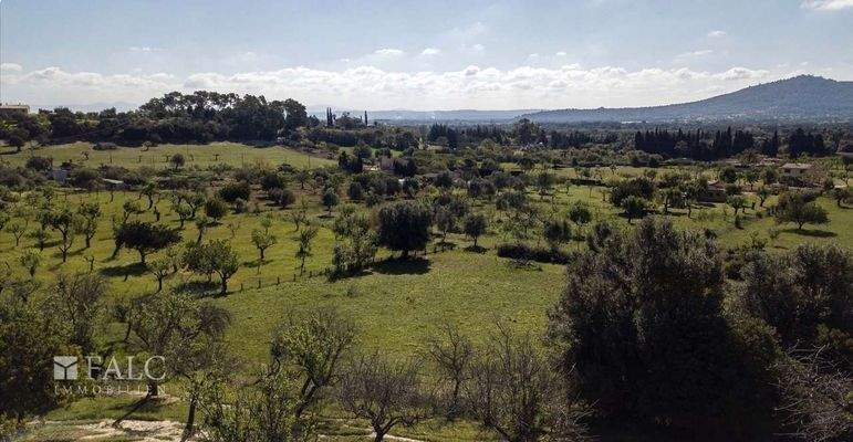 grundstueck-selva-29