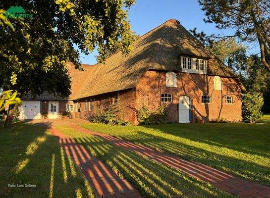 am späten Nachmittag