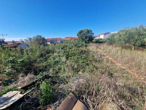 Vostarnica - Poluotok Bauernhöfe, Landwirtschaft, Vostarnica - Poluotok Forstwirtschaft