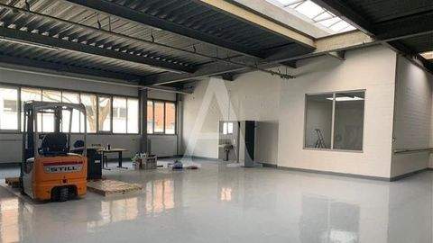 Bergisch Gladbach Halle, Bergisch Gladbach Hallenfläche