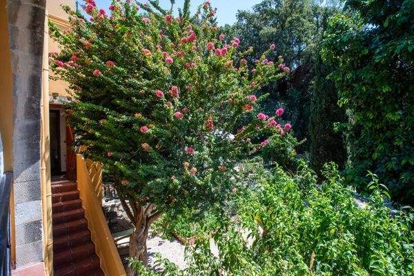 Kreta, Xamoudochori: Idyllische Residenz mit Apartments und Olivenhain zu verkaufen