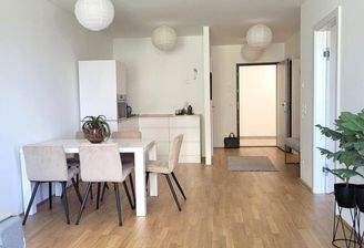 Helles WZ mit offener KÜ