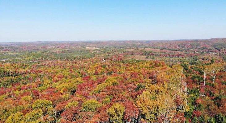 Nova Scotia - West Side Country Harbour - 52-Hekta