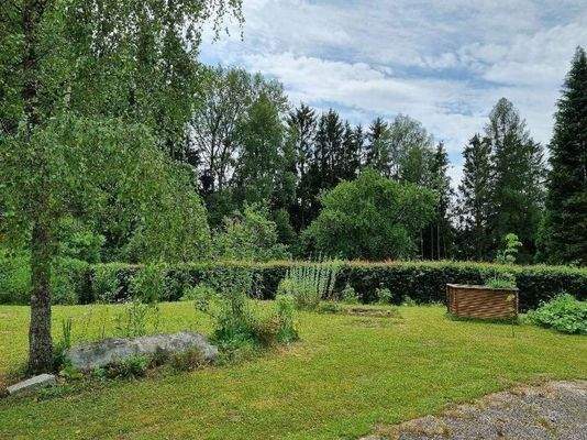 Garten Bild 2.jpg
