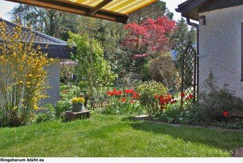 Waldbronn Häuser, Waldbronn Haus kaufen