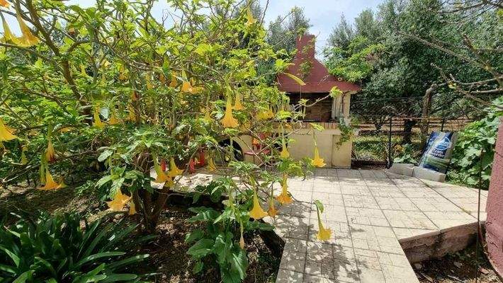 Kreta, Ammoudara bei Heraklion: Gebäude mit 3 Wohnungen zu verkaufen