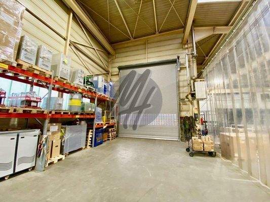 INFOS UNTER: 06171-586000