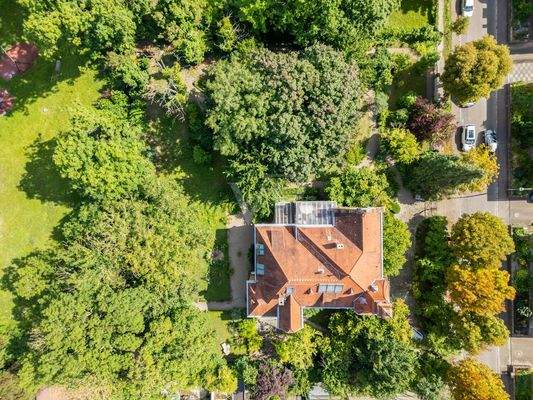 Luftaufnahme mit Blick auf das gesamte Grundstück mit Baumbestand