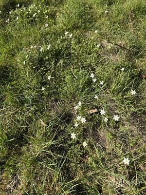 Frühlingserwachen