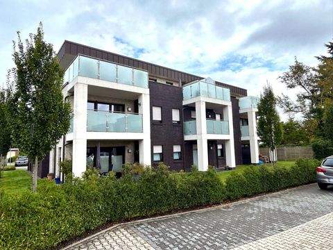 Westerstede Häuser, Westerstede Haus kaufen