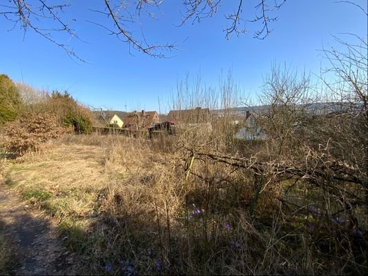 Blick aufs Grundstück-Süd-Ostansicht