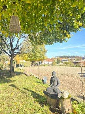 Schlatter Immobilien Villingen-Schwenningen Reitplatz