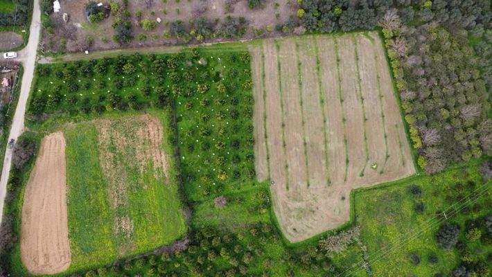 Kreta, Stilos: Charmantes ländliches Grundstück mit Bergblick zu verkaufen