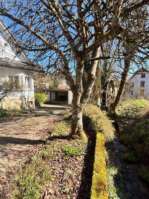 Zufahrt zum Wohnhaus