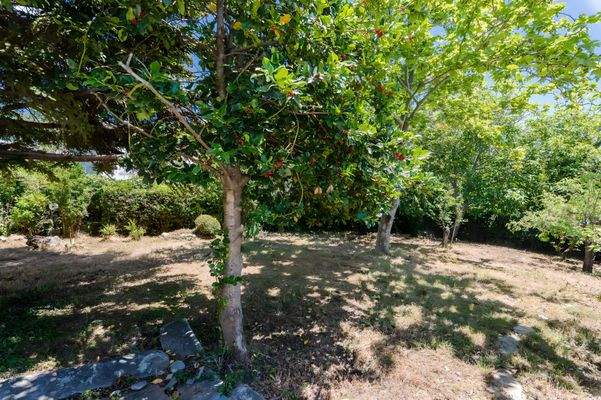 Traditionelle Villa in Pilion mit Meerblick 4.jpg