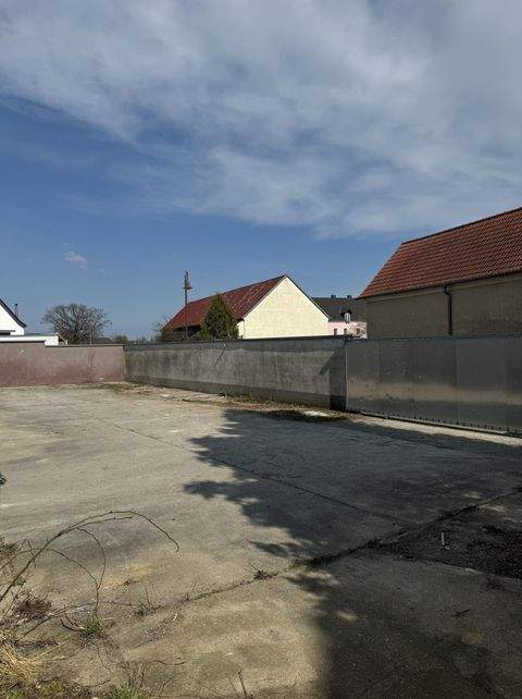 Belgershain Halle, Belgershain Hallenfläche