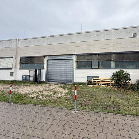 Fürth Halle, Fürth Hallenfläche