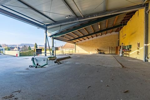 Bergau Halle, Bergau Hallenfläche