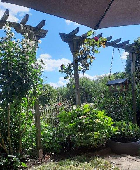 Rheinberg-Borth Wohnungen, Rheinberg-Borth Wohnung kaufen