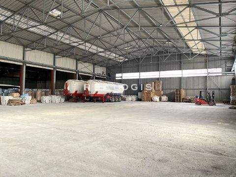 Gersthofen Halle, Gersthofen Hallenfläche