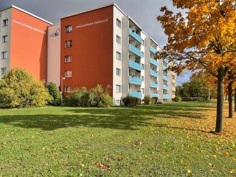 Dessau-Roßlau Wohnungen, Dessau-Roßlau Wohnung mieten