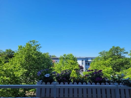 Ausblick vom Balkon