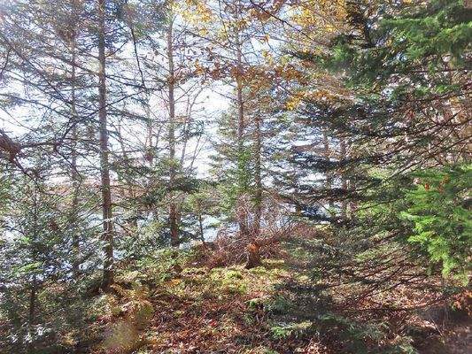 Cape Breton - 3,1 Hektar großes See-Ufergrundstück