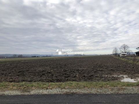 Weichselbaum Grundstücke, Weichselbaum Grundstück kaufen