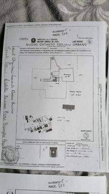 WhatsApp Bild 2025-06-03 um 10.33.52_68fa28fa