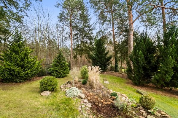 Blick in den Wald