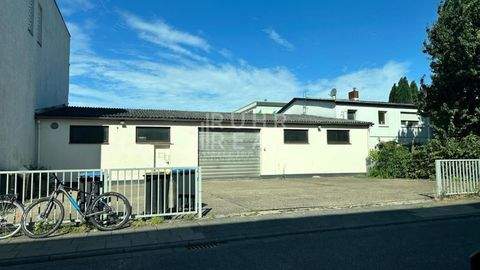 Köln Halle, Köln Hallenfläche