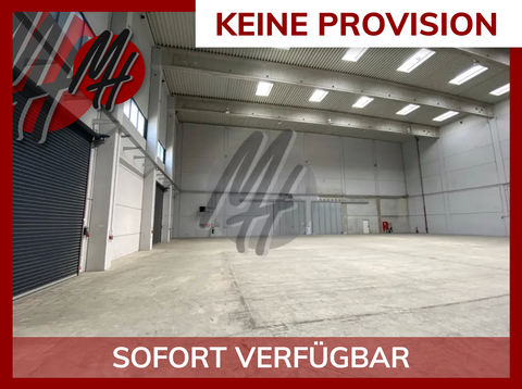 Pfungstadt Halle, Pfungstadt Hallenfläche