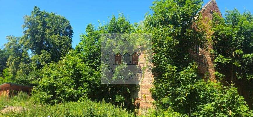 WhatsApp Image 2025-07-02 at 13.09.12 (1)