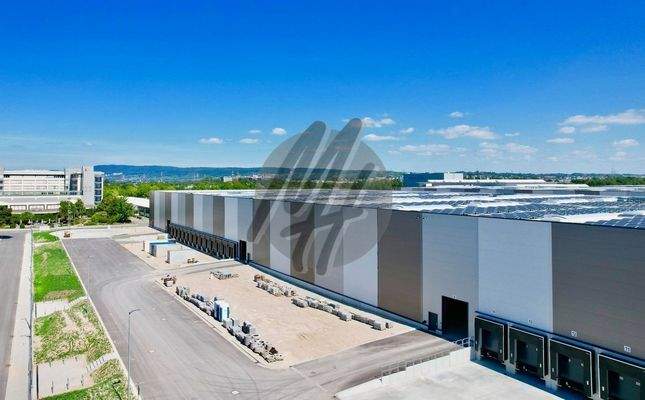 INFOS UNTER: 06171-586000