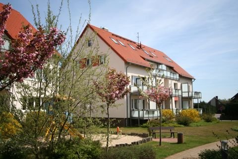 Lehrte Wohnungen, Lehrte Wohnung mieten