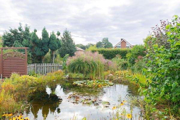 Mittlererteil vom Baugrundstück