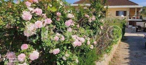 Jelsa Häuser, Jelsa Haus kaufen