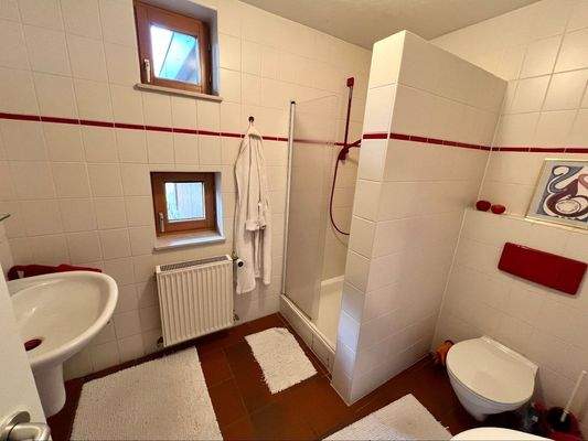 Bad / Gäste-WC mit Dusche (EG).