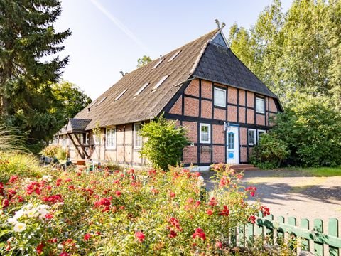 Steinfeld Häuser, Steinfeld Haus kaufen