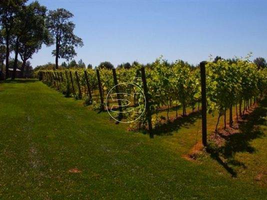 4* Luxus Hotelkomplex