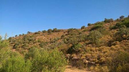 379c0b7c-f2f4-48ab-a155-dba2db1abfc6