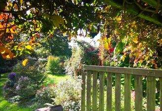 Eingang