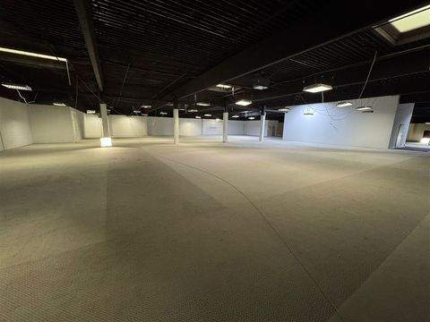 Seevetal Halle, Seevetal Hallenfläche