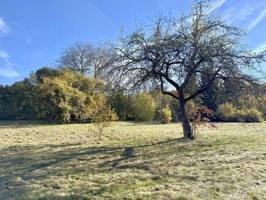 Starnberg Grundstück