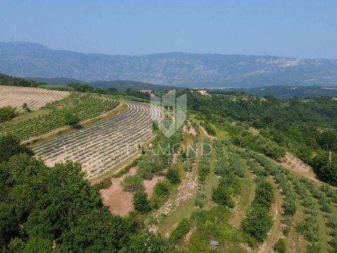 Pican Bauernhöfe, Landwirtschaft, Pican Forstwirtschaft