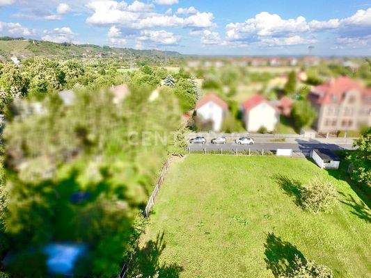 Blick auf die Weinberge