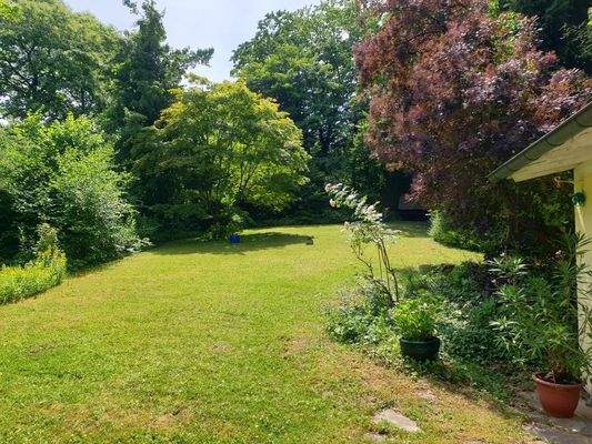 Teilansicht Garten (1)