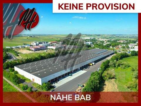 Nieder-Olm Halle, Nieder-Olm Hallenfläche